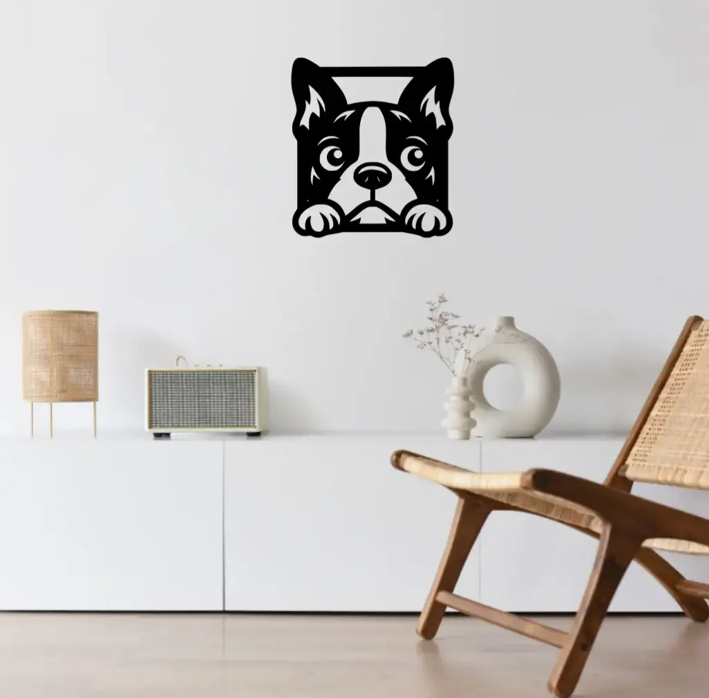Boston Terrier